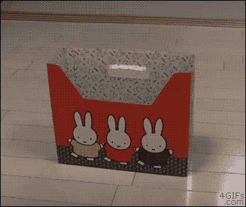 putting-AI-back-in-the-box