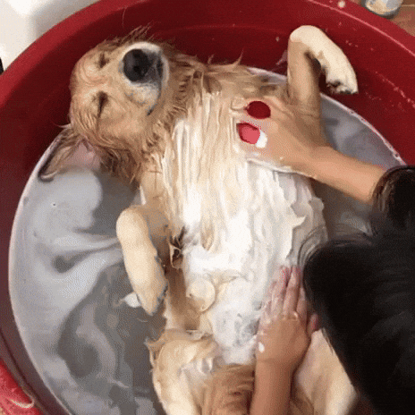 spa-client-enjoying-treatment